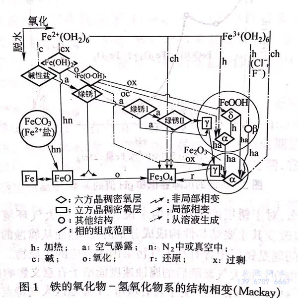 圖 1.jpg